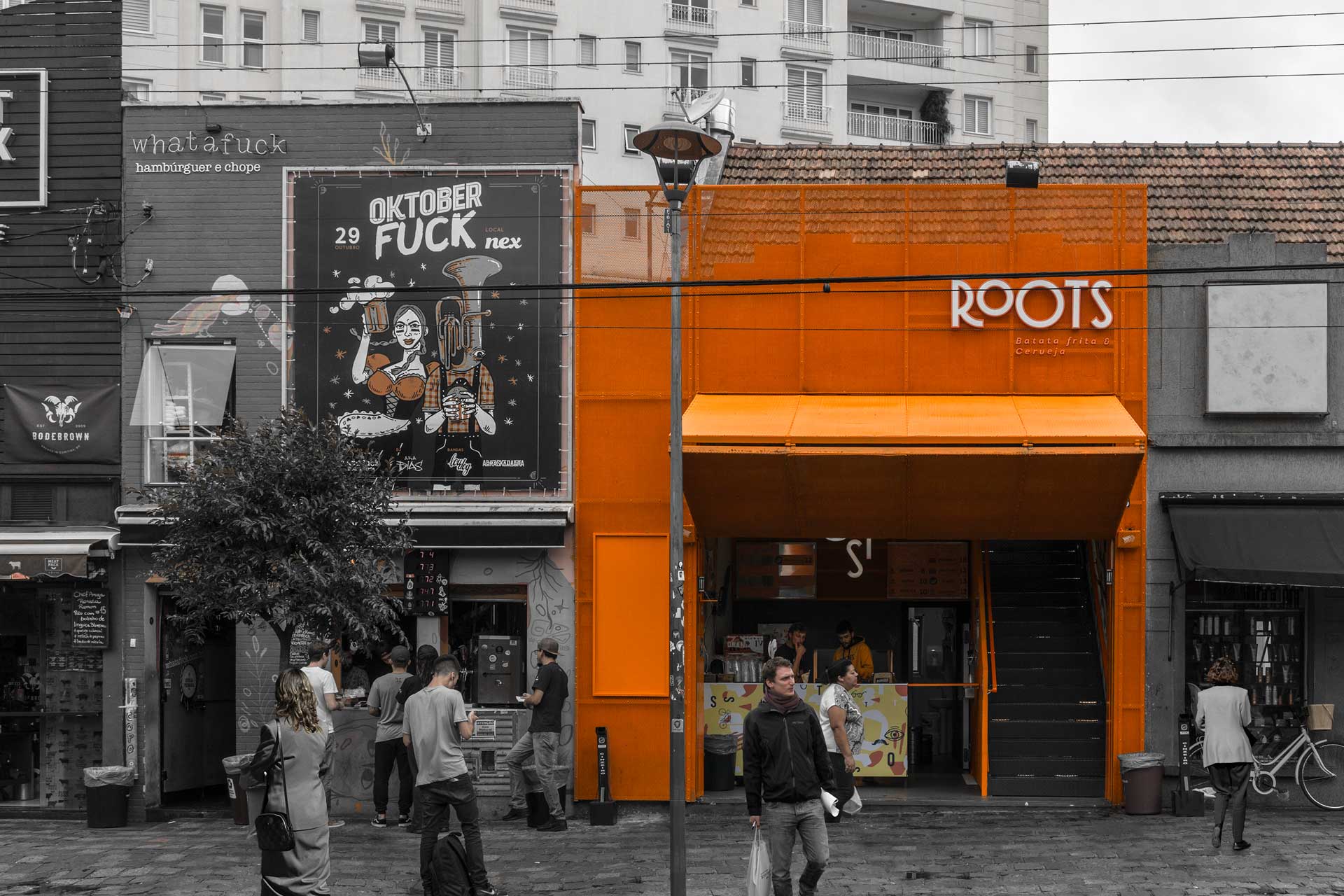 roots 15